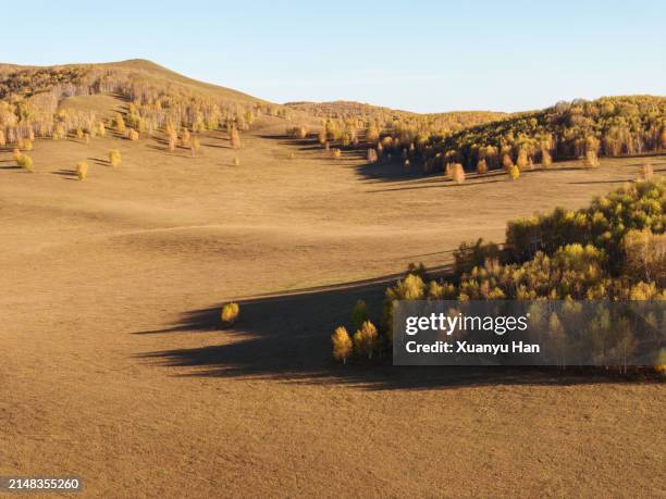 the sunshine shines on the autumn forest - chifeng stock pictures, royalty-free photos & images