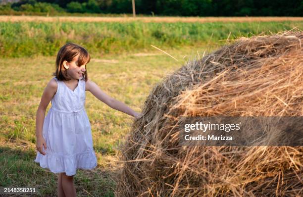 3,056 Romp In The Hay Stock Photos, High-Res Pictures, and Images ...