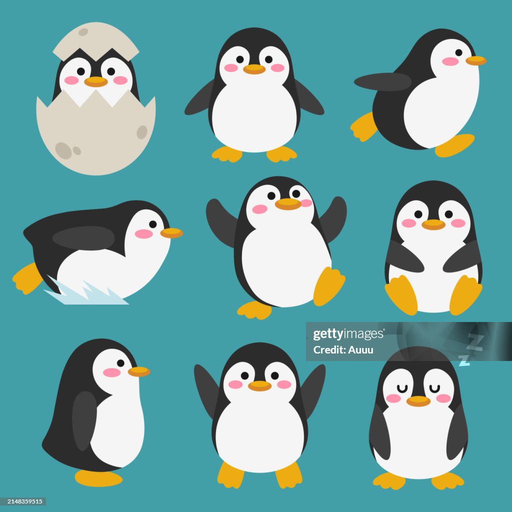 Ensemble de petits pingouins dans différentes poses