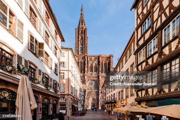 notre dame de strasbourg cathedral and strasbourg old town with half-timbered houses, alsace, france - estrasburgo fotografías e imágenes de stock