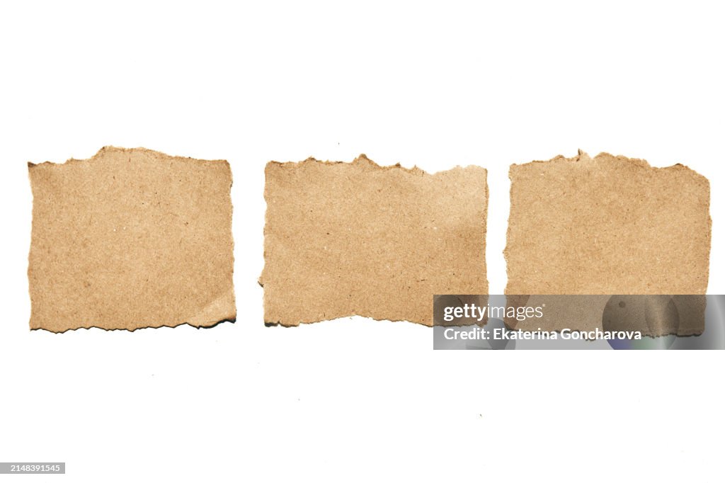 Torn paper strips with textured edges on white background.