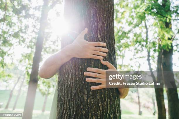 hombre abrazando árbol al aire libre - guardar fotografías e imágenes de stock