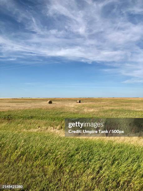 scenic view of field against sky,saskatoon,saskatchewan,canada - saskatchewan stock-fotos und bilder
