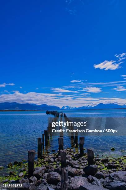 scenic view of sea against blue sky - francisco gamboa stock pictures, royalty-free photos & images
