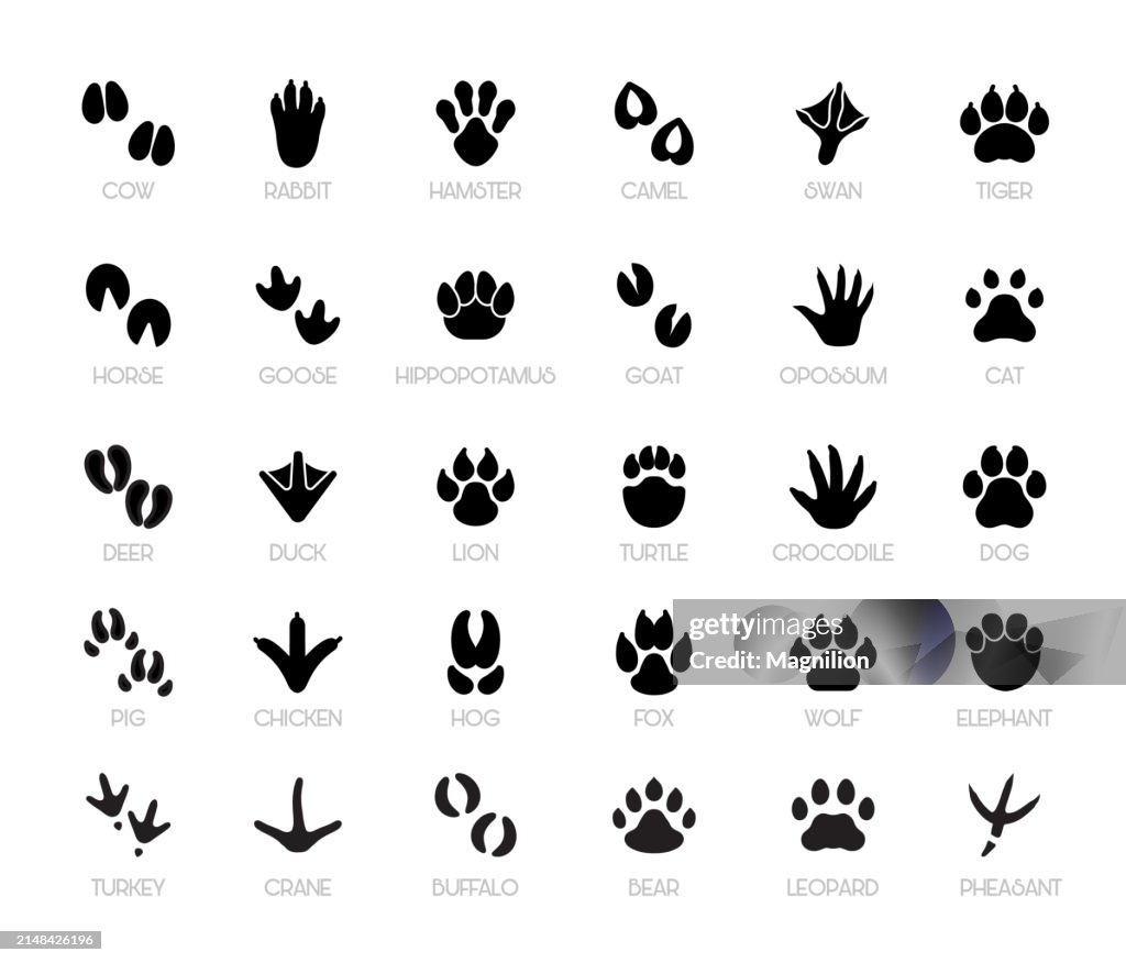 Conjunto de iconos de línea de huellas de animales, trazo editable