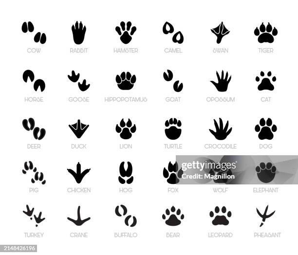 illustrazioni stock, clip art, cartoni animati e icone di tendenza di set di icone della linea delle impronte di animali, tratto modificabile - wild turkey icon