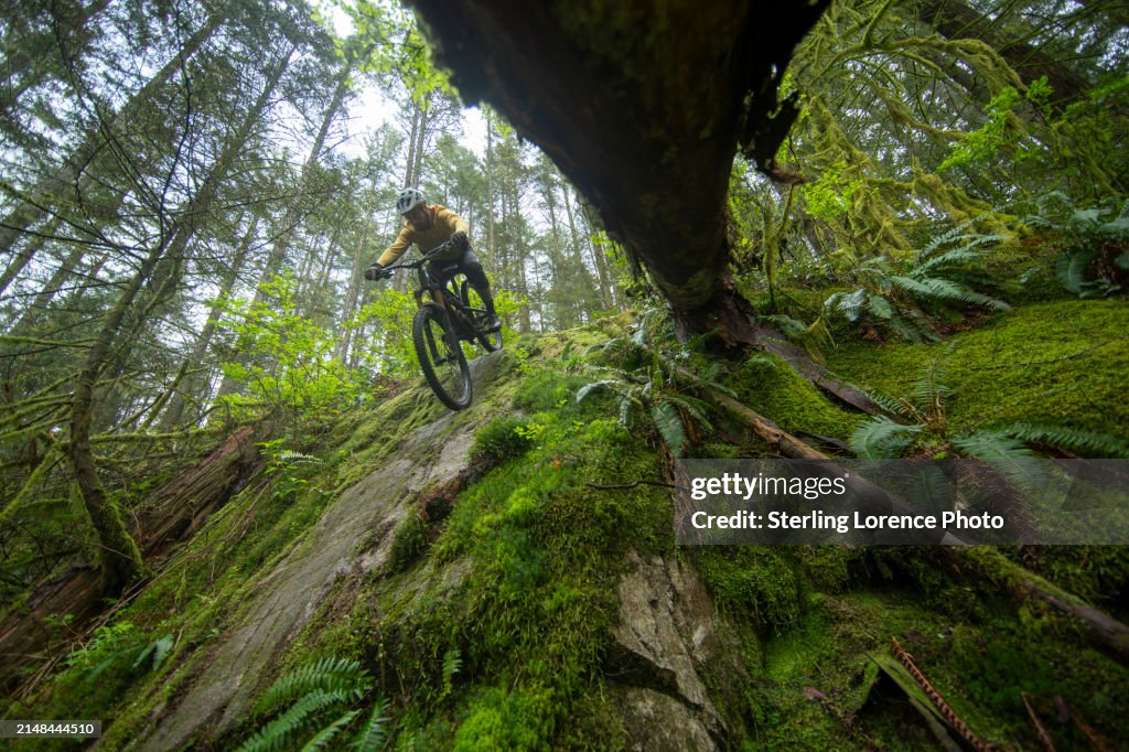 North Shore Vancouver Mountain Bike trail riding