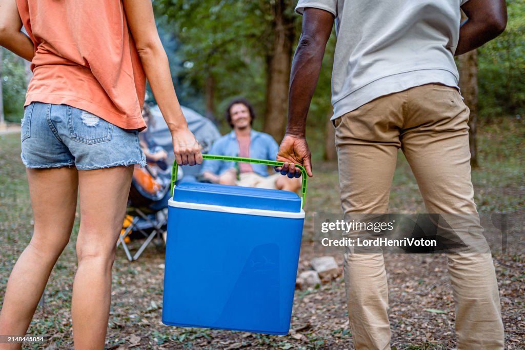 Friends carrying cooler while camping in nature