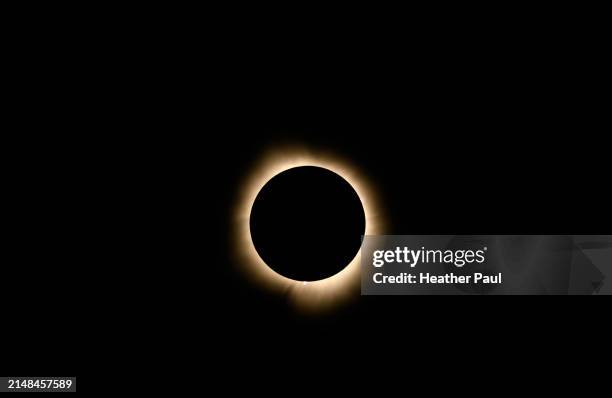 solar eclipse during totality with visible red solar prominences - zonsverduistering stockfoto's en -beelden
