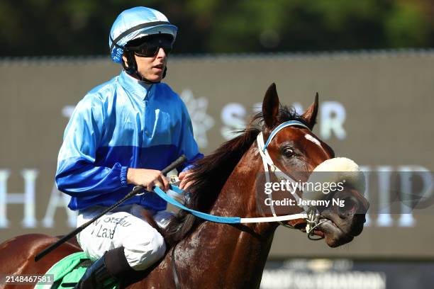 153 Percy Sykes Stock Photos, HighRes Pictures, and Images Getty Images