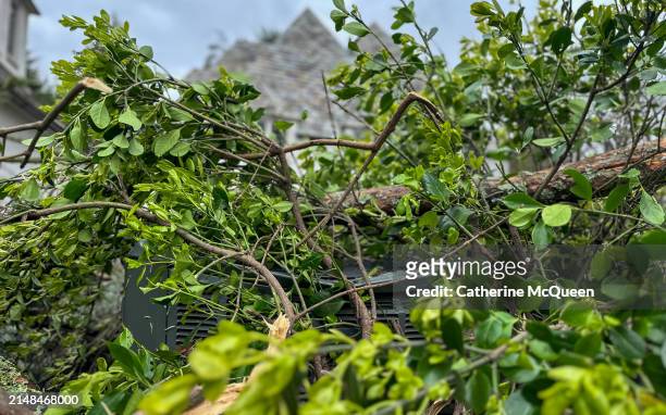 downed hemlock tree crushing heating & cooling unit & privacy hedge outdoors - hemlock tree stockfoto's en -beelden