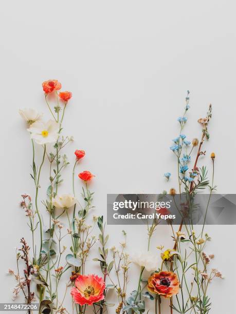 fresh flowers pattern in white with blank paper - table font view stock pictures, royalty-free photos & images