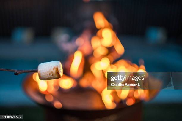 noche de malvaviscos asados sobre una acogedora hoguera - hoguera de campamento fotografías e imágenes de stock