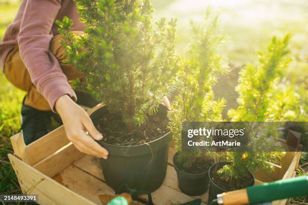 boy planting trees outdoors in springtime - nationale-boomfeestdag stockfoto's en -beelden
