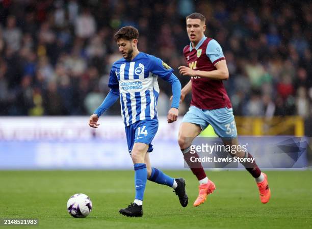 Adam Lallana of Brighton & Hove Albion runs with the ball whilst under pressure from Maxime Esteve of Burnley during the Premier League match between...