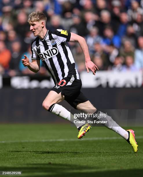 Anthony Gordon of Newcastle United in action during the Premier League match between Newcastle United and Tottenham Hotspur at St. James Park on...