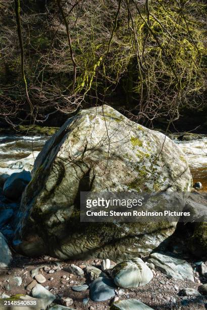 gigantic boulder next to creek in springtime, scotland - plant vector stock pictures, royalty-free photos & images