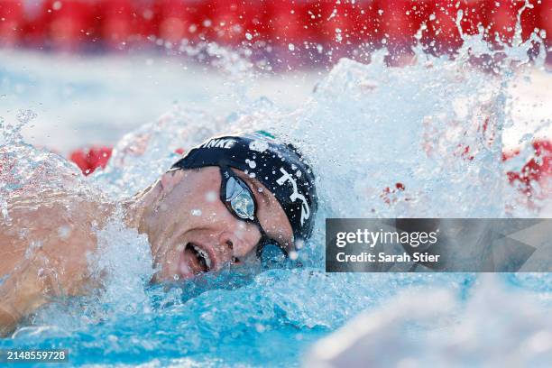 Bobby Finke competes in the Men's 800m Freestyle final on Day 4 of the TYR Pro Swim Series San Antonio at Northside Swim Center on April 13, 2024 in...