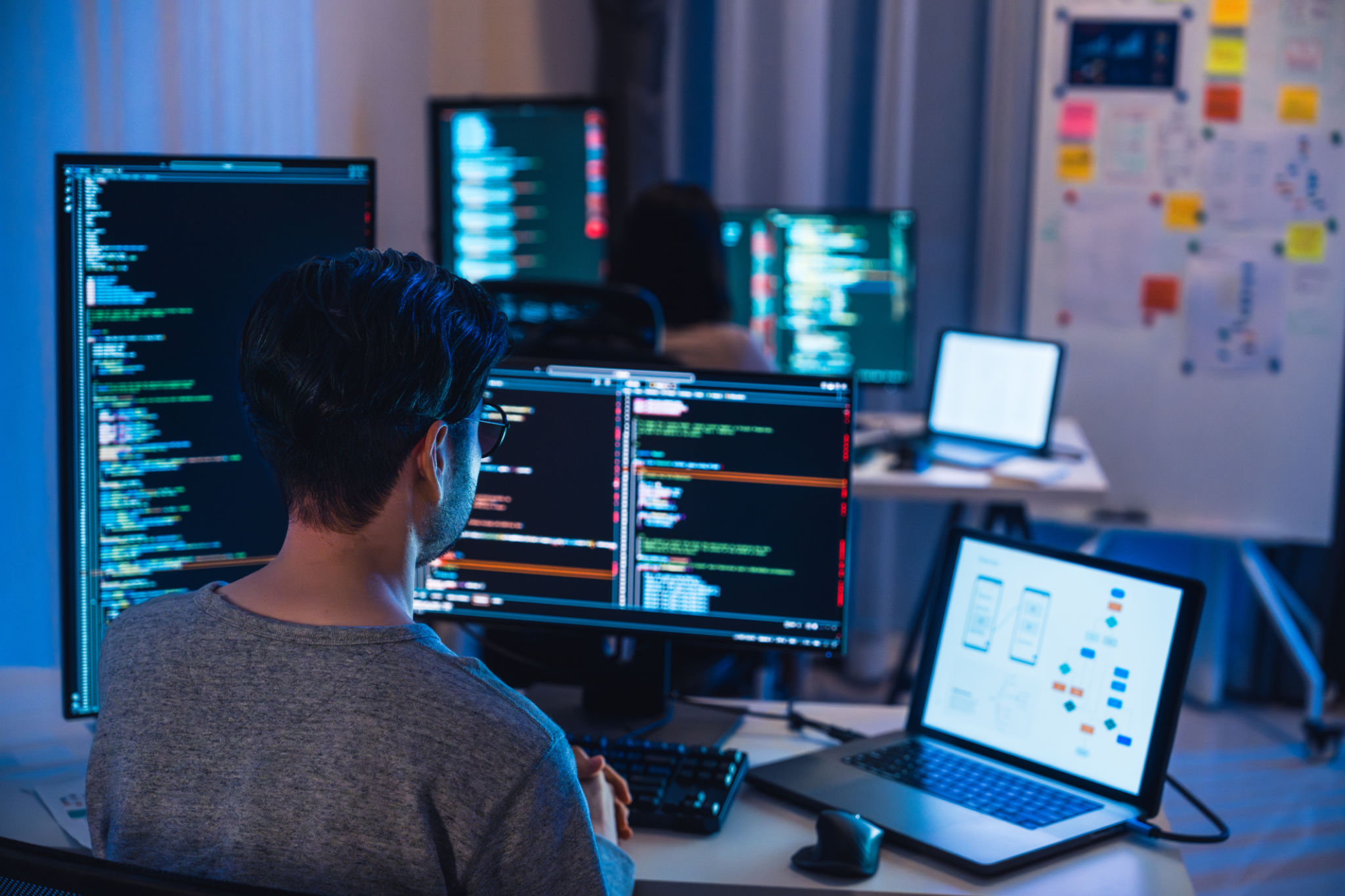 software development