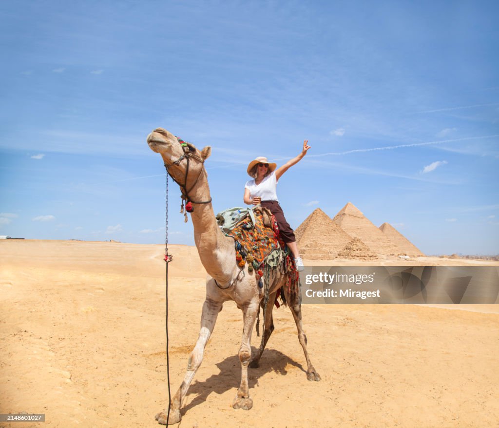 Someone Riding Camel Young Female Tourist Riding Camel In The Egyptian Desert And Visits The ...
