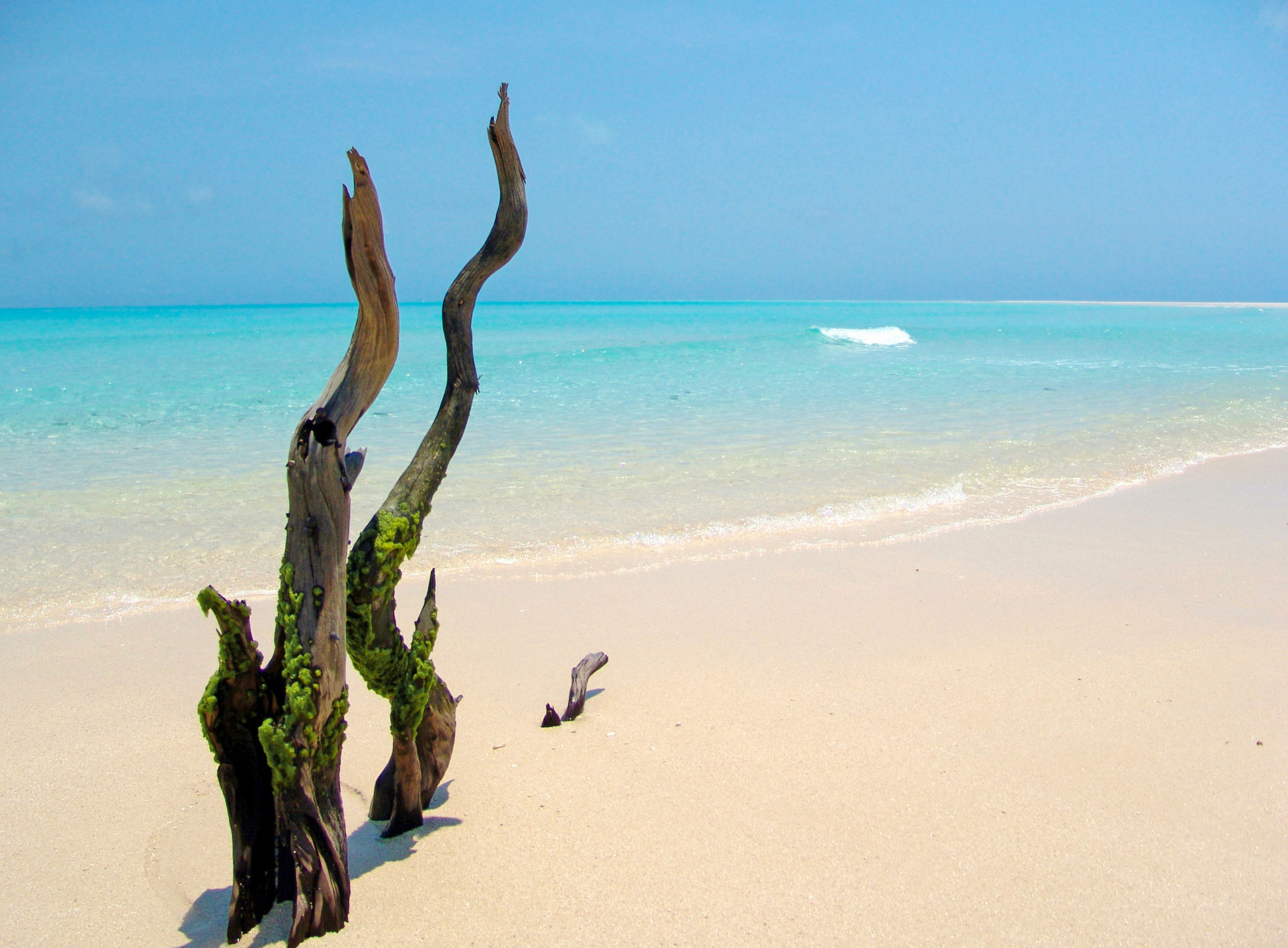 Medjumbe Island in Mozambique Medjumbe Island in Mozambique