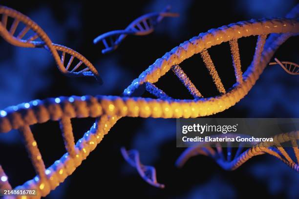 illuminated genetic strands. multiple glowing dna helices against a dark backdrop, symbolizing the complexity of life and genetic research. - dna stock-fotos und bilder
