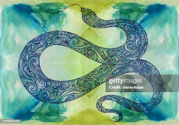 snake in grass - python stock illustrations