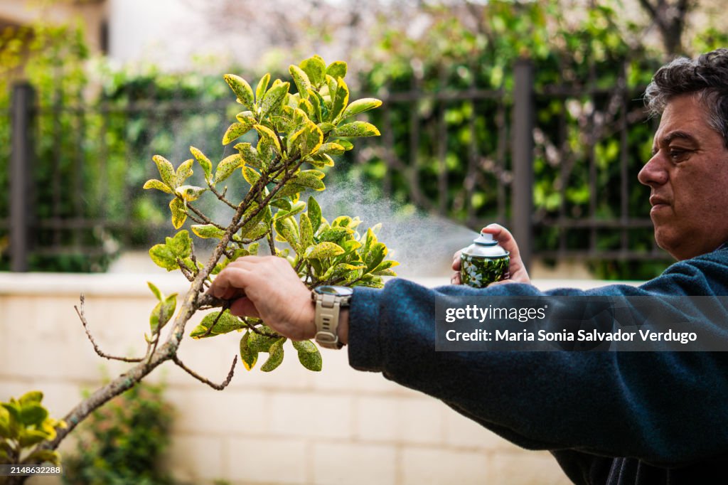 Man treating a tree for pests