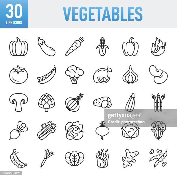 illustrations, cliparts, dessins animés et icônes de légumes - ensemble d’icônes vectorielles de ligne fine. pixel parfait. pour mobile et web. l’ensemble contient des icônes : légume, citrouille, courgette, brocoli, chou , ail, piment, maïs, céleri, carotte, champignon comestible, alimentation sa - carotte