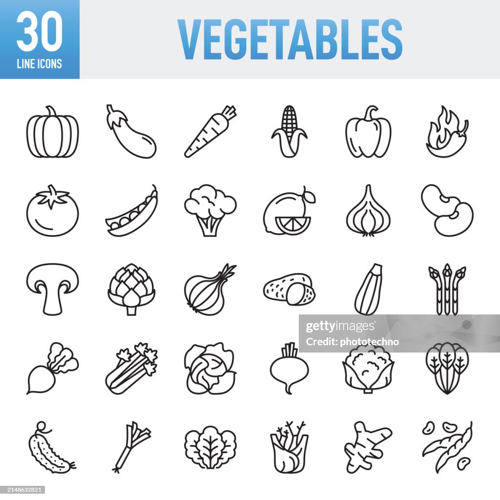 Vegetables - Thin line vector icon set. Pixel perfect. For Mobile and Web. The set contains icons: Vegetable, Pumpkin, Zucchini, Broccoli, Cabbage, Garlic, Chili Pepper, Corn, Celery, Carrot, Edible Mushroom, Healthy Eating, Food, Healthy Lifestyle