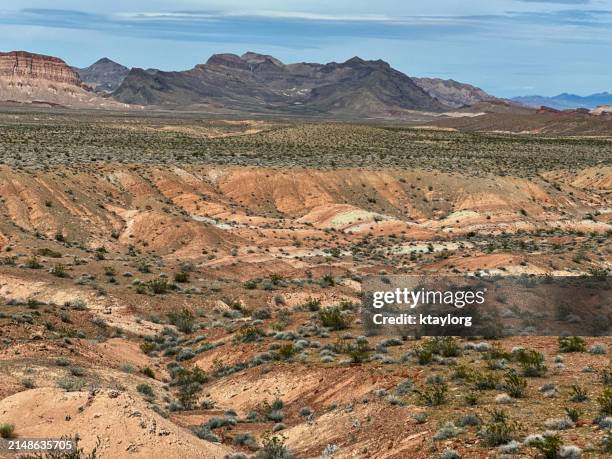 sagebrush-covered landscape alongside the scenic byway on the way to valley of fire state park - lake mead national recreation area stock pictures, royalty-free photos & images