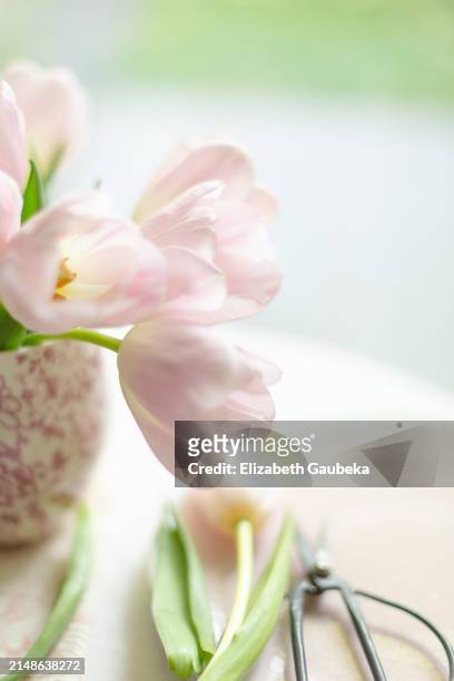 soft pink bouquet of tulips - romantisme stock-fotos und bilder