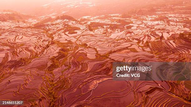 Aerial view of the sunrise scenery of Yuanyang Rice Terraces, also known as Honghe Hani Rice Terraces, on April 14, 2024 in Yuanyang County, Honghe...