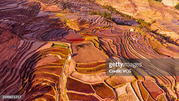 Aerial view of the sunrise scenery of Yuanyang Rice Terraces, also known as Honghe Hani Rice Terraces, on April 14, 2024 in Yuanyang County, Honghe...