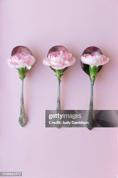 three ornate old silver spoons - silver spoon in mouth stock pictures, royalty-free photos & images