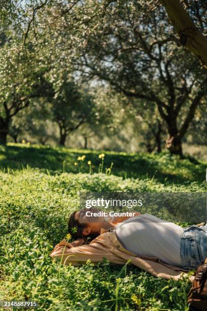 woman enjoying sun in olive grove - wellness olive tree stock pictures, royalty-free photos & images