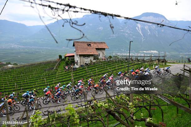 General view of the peloton compete climbing to the Penone through a apple vineyards landscape during the 47th Tour of the Alps 2024, Stage 1 a...