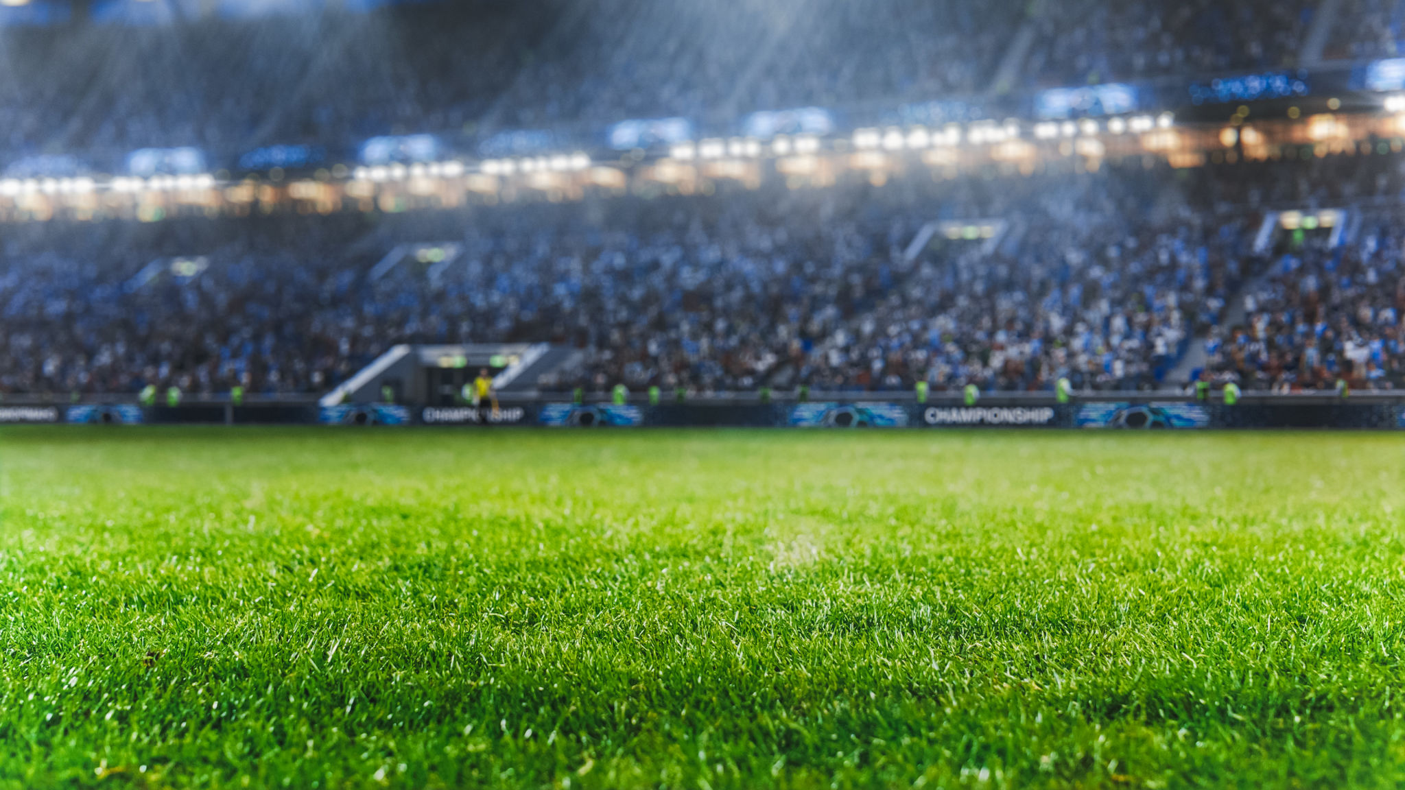 stadium crowd