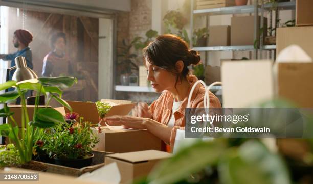 botanist, plant or woman with boxes in small business for ecommerce, development or natural plants. sustainable, person and florist with package label for online shopping delivery, shipping or order - agriculture supply chain technology stock pictures, royalty-free photos & images