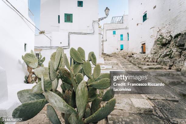 ostuni, puglia. the white city - brindisi stock pictures, royalty-free photos & images