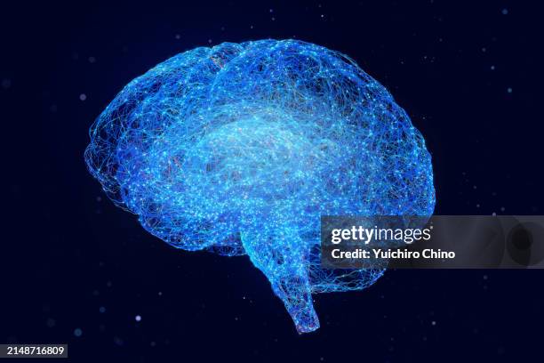 neural network brain - cerebro fotografías e imágenes de stock