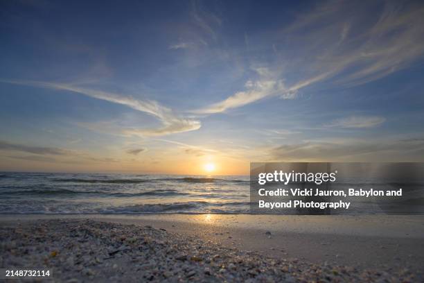 shells, clouds and tranquil blue sunset at fort myers beach, florida - gulf of mexico stock pictures, royalty-free photos & images
