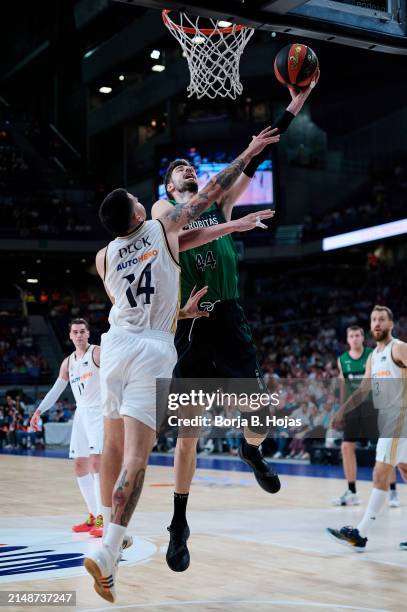 Gabriel Deck of Real Madrid and Ante Tomic of Joventut Badalona in action during Round 29 of Liga Endesa ACB match between Real Madrid and Joventut...