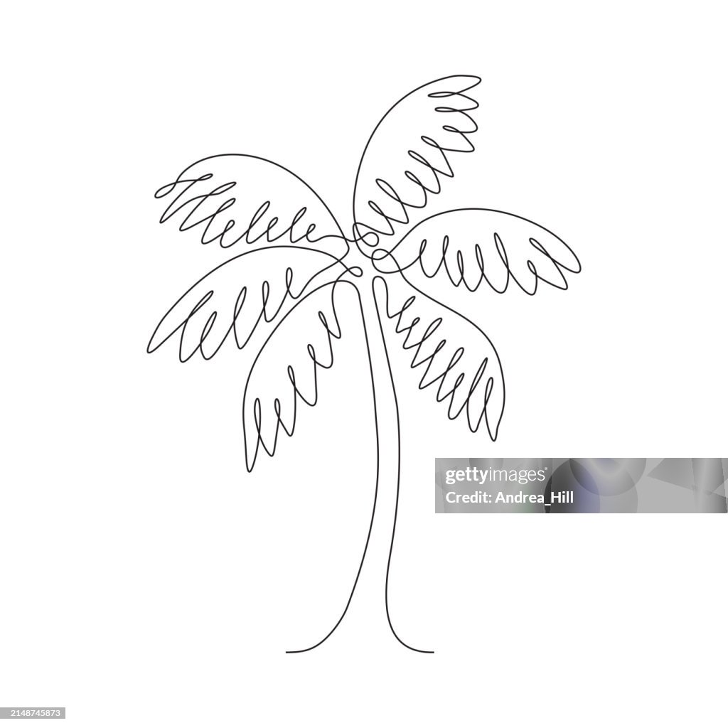 Palm Tree Single Line Drawing With Editable Stroke High-Res Vector ...