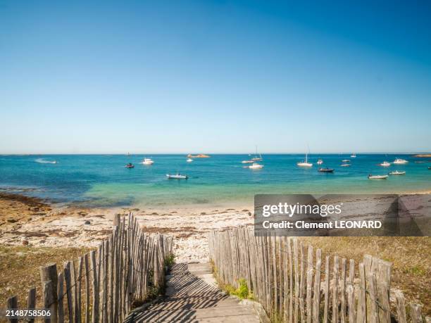 view of a heavenly white sand beach with turquoise colored waters and its access lined with a wooden fence on the saint-nicolas island in the archipelago de glenans (archipel des glénan), fouesnant - finistère (finistere) - bretagne (brittany) - france. - océan atlantique photos et images de collection