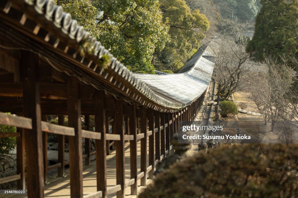 Foreign tourists visit Japanese shrines for sightseeing.