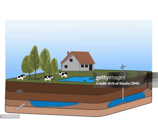 cross section of soil and groundwater under the organic farm - grundwasser stock-fotos und bilder