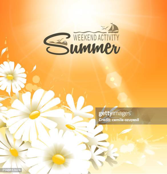 spring shiny - white petal stock illustrations