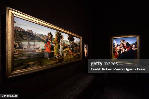Italian Renaissence artist Alessandro Botticelli and Piero Di Cosimo masterpieces part of the Gallery of permanent collection of the Giorgio Cini...