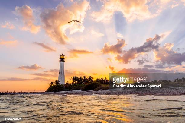 lighthouse at bill baggs cape florida state park at sunset, florida, usa - florida v florida state stock pictures, royalty-free photos & images